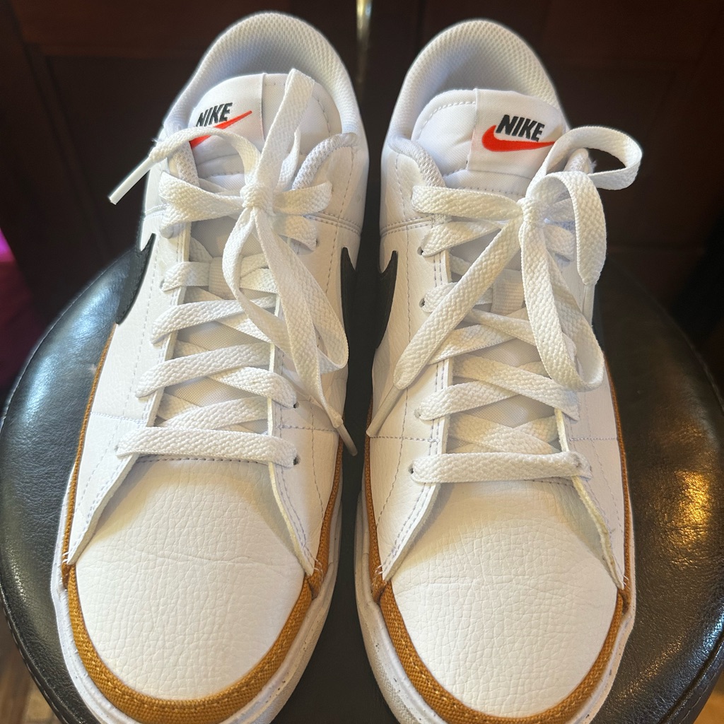 Men's Nike Court Legacy Next Nature Casual Shoes